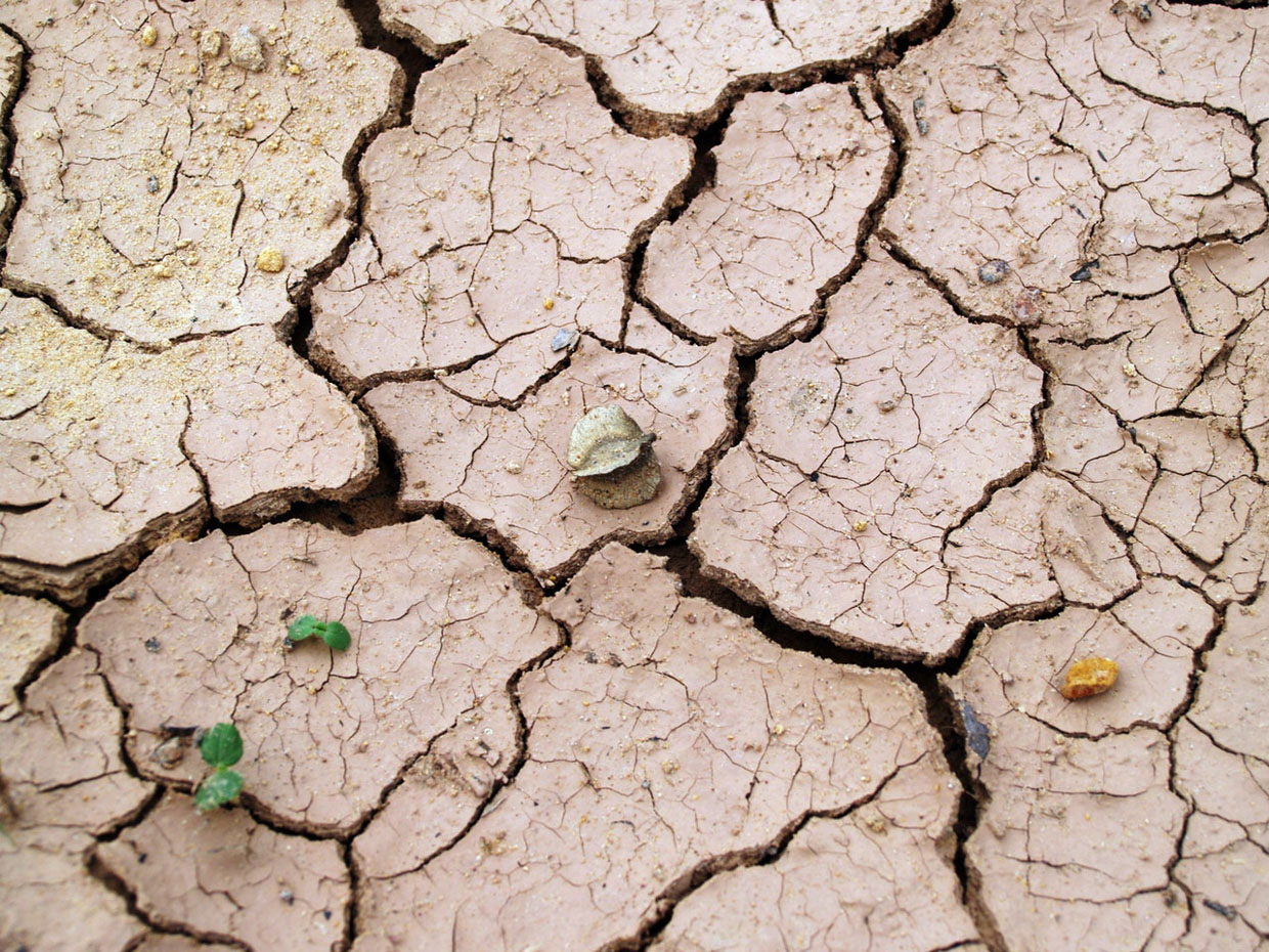 top-10-warmest-years-on-record